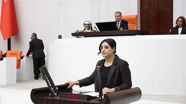 Siirt Milletvekili Sarıtaş, Onkoloji ve Nefroloji Alanlarında Siirt'te Doktor Bulunmamasının Nedenlerini Sordu