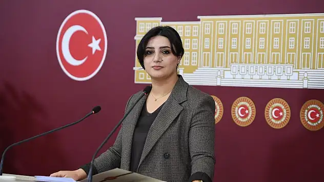 Siirt Milletvekili Sarıtaş, Siirt'in Köy Yollarını TBMM Gündemine Taşıdı (Videolu Haber)