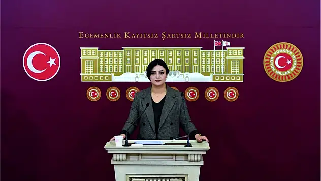 Siirt Milletvekili Sarıtaş'tan TBMM'nde Ulaşım, Eğitim ve Sağlık Sorunlarına İlişkin Basın Açıklaması