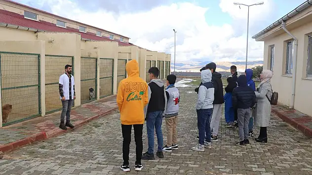 Siirt Sevgi Evlerinde Kalan Öğrenciler Hayvan Barınağını Gezdi