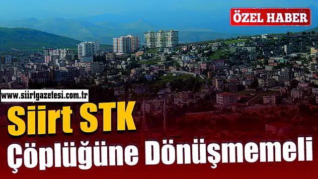 Siirt, STK Çöplüğüne Dönüşmemeli!
