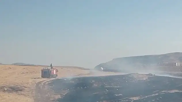 Siirt'te Anız Yangınları Sürüyor