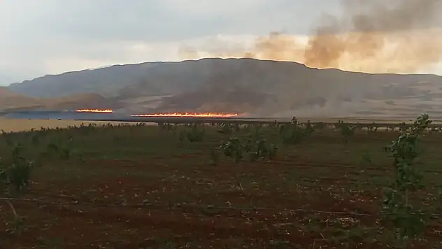 Siirt'te Buğday Tarlasında Büyük Yangın!
