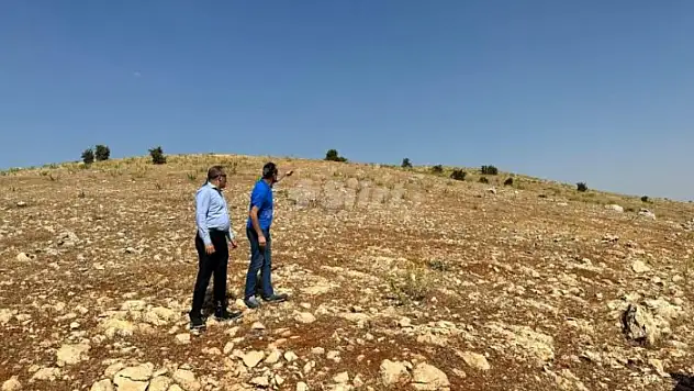 Siirt Türkiye Şampiyonası Mücadelelerine Ev Sahipliği Yapacak!