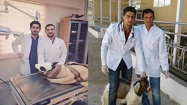 Siirt Üniversitesi Veteriner Fakültesi TÜBİTAK 1002 Projesi