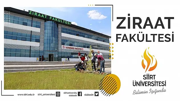 Siirt Üniversitesi Ziraat Fakültesi Ürettiği 90 Ton Buğdayı Satışa Çıkardı