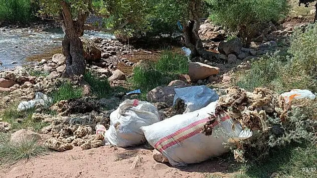 Siirt Zorava Çayı'nda Yün Yıkamanın Yarattığı Çevre Sorunlarına İlişkin Vatandaş Şikâyeti