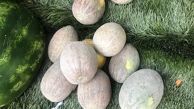 Siirt'e Özgü Kavunumuzun Fiyatı Şaşırttı