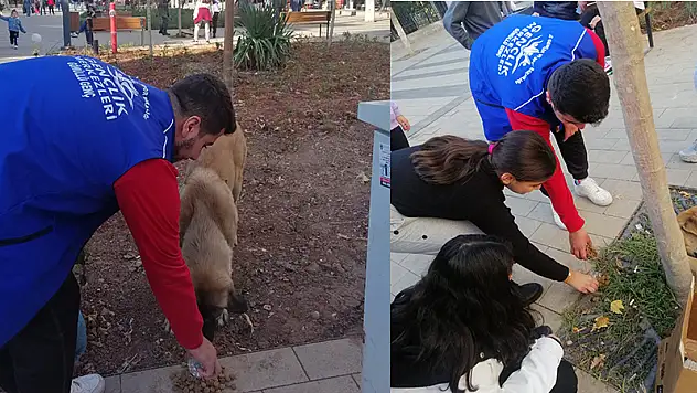 Siirtli Gençler Sıcak Yaz Mevsiminde Can Dostlarımızı Unutmadı!