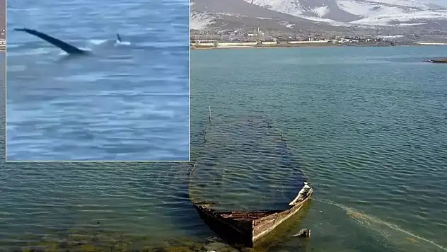 Siirtlilerin Sıkça Gittiği Tatvan'da 'Van Gölü Canavarı' İddiası Yeniden Gündemde