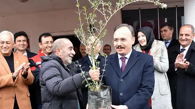 Siirt'te 1 Milyon 600 Bin TL Değerinde 100 Bin Adet Siirt Fıstığı Fidanı Dağıtıldı