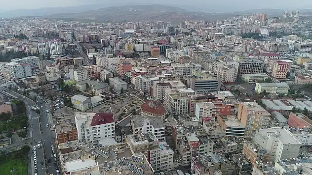 Siirt'te 10 Bin Batmanlı 12 Yalovalı Yaşıyor