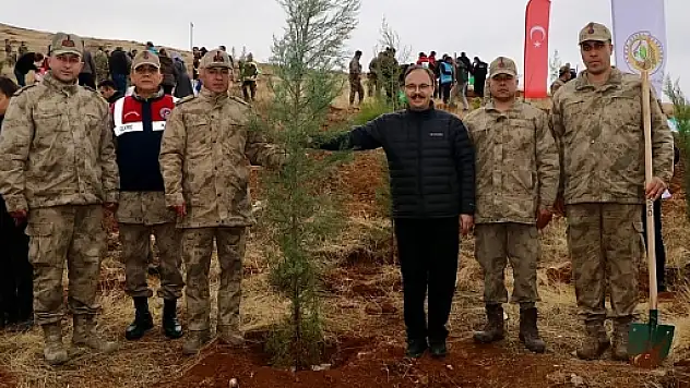 Siirt'te 11 Kasım Ağaçlandırma Gününde 2.500 Fidan Toprakla Buluşturuldu