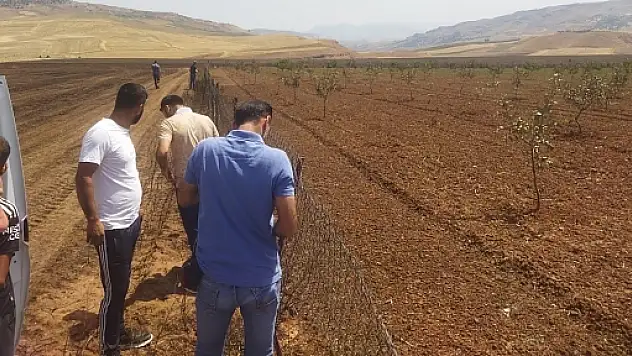 Siirt'te Anız Yangını Çıkan Alanlarda Hasar Tespit Çalışmaları Tamamlandı