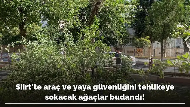 Siirt'te Araç ve Yaya Güvenliğini Tehlikeye Sokabilecek Ağaçlar Budandı!