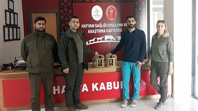 Siirt'te Canlı Keklik Yakalayanlara Cezai İşlem Uygulandı