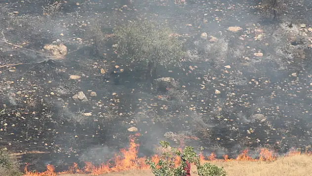 Siirt'te Çıkan Arazi Yangını Ormanlık Alana Sıçramadan Söndürüldü