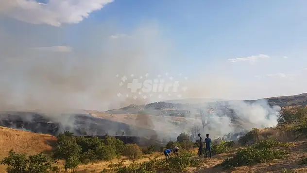 Siirt'te Çıkan Yangında 20 Dönüm Fıstık ve Üzüm Bağı Zarar Gördü