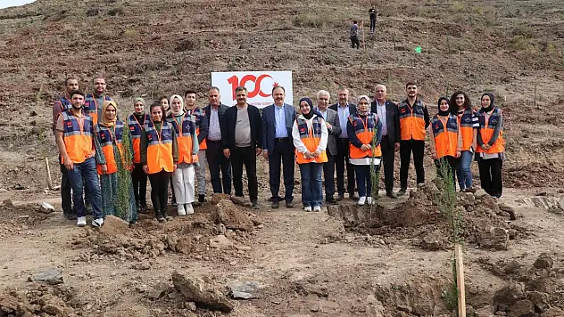 Siirt'te Dev Ağaçlandırma Hamlesi