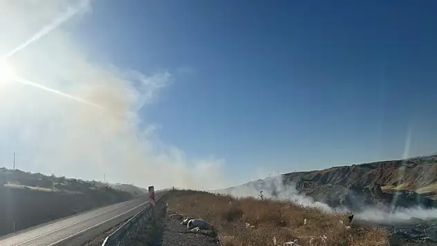 Siirt'te Emine Erdoğan'ın Mega Projesi Önemsenmiyor!