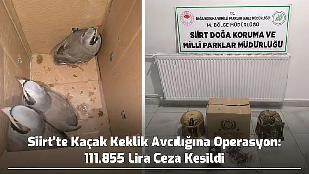 Siirt'te Kaçak Keklik Avcılığına Operasyon