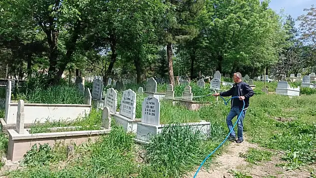 Siirt'te Mezarlıklarda İlaçlama Çalışmaları Başladı