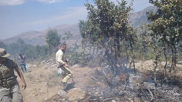 Siirt'te Orman Yangını!