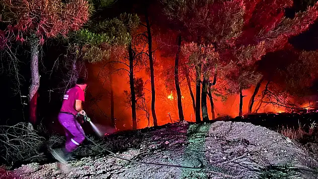 Siirt'te Ormanlık Alanlara Girişler, İkinci Bir Duyuruya Kadar Yasaklandı