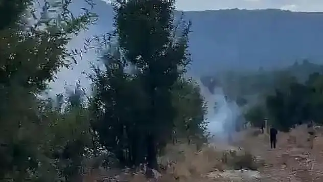 Siirt'te Örtü Yangını