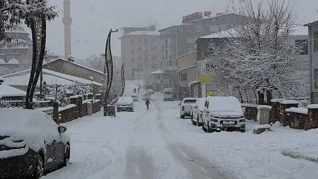 Siirt'te ve Bingöl'de Kar Nedeniyle 175 Köy İle Ulaşım Sağlanamıyor