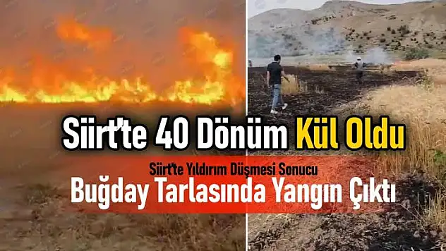 Siirt'te Yıldırım Düşmesi Sonucu Buğday Tarlasında Yangın!