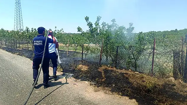 Siirt'teki Yangınlar, İtfaiye Ekiplerinin Hızlı Müdahalesi ile Büyümeden Söndürüldü