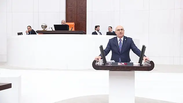 Tanal, Bütçe Görüşmelerinde Tam 175 Kez Şanlıurfa Dedi!