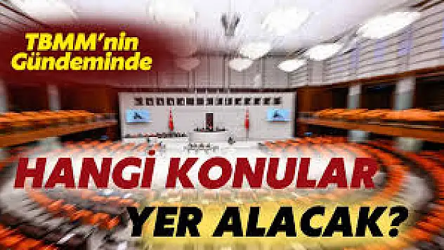 TBMM'nin Gündeminde Bu Hafta Neler Var?