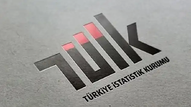 TÜİK Mayıs Ayına İlişkin İşgücü İstatistiklerini Açıkladı