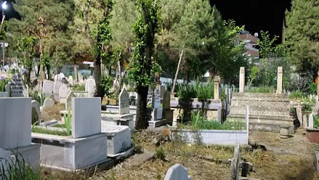 TÜİK'in Siirt İle İlgili Doğum-Ölüm ve Hastalık İstatistiği!