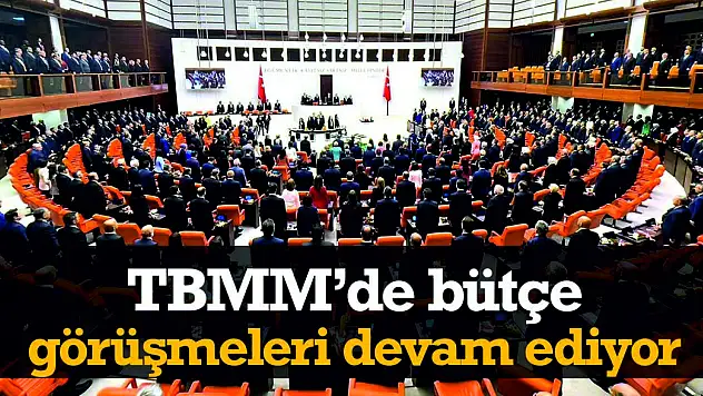Türkiye Büyük Millet Meclisinde Bütçe Görüşmeleri Start Alırken