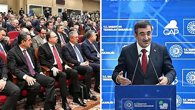 Vali Dr.Kızılkaya, Şanlıurfa'da Düzenlenen GAP Eylem Planı Toplantısı Bilgilendirme ve İstişare Toplantısına Katıldı