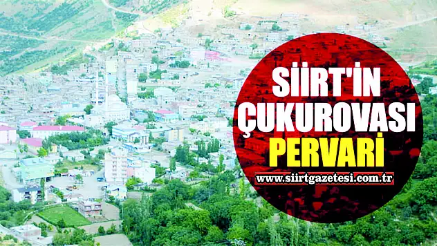 Yapay Zekanın Tespiti: Siirt'in En Güzel İlçesi Pervari