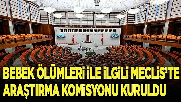 'Yenidoğan Bebekler Çetesi' İle İlgili Meclis Araştırma Komisyonu Kuruldu