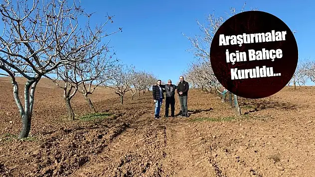 Ziraat Fakültesi Biyosistem Mühendisliği Bölümü Yer Fıstığı Projesi Yaptı