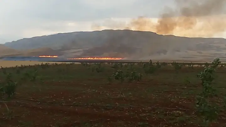 Siirt'te Buğday Tarlasında Büyük Yangın!