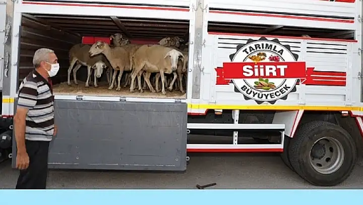 Siirt'te Canlı Hayvan Nakliyesi İçin Yeterlilik Kursu