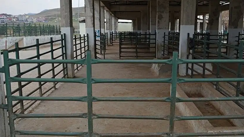 8 İlde Hayvan Pazarları Açılıyor, Siirt'te Durum Merak Ediliyor