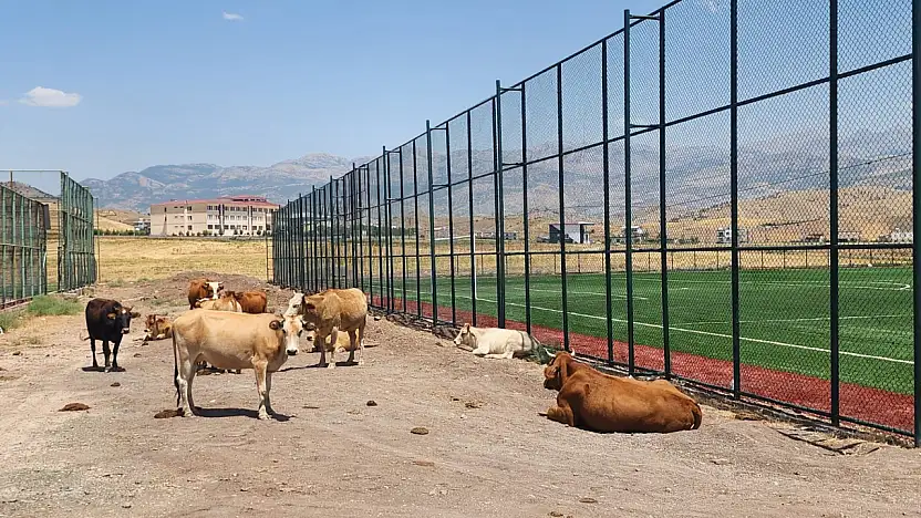Gençler Sahayı Sevdi, Çevre Düzenlemesi İçin Beklentiler Sürüyor