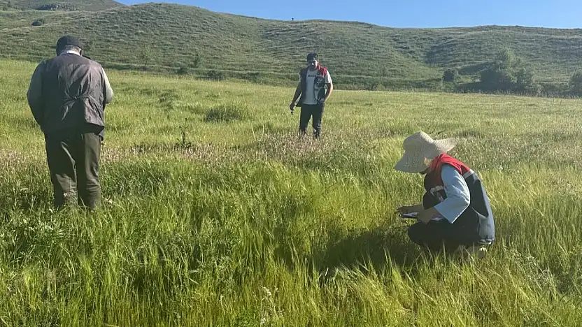 Pervari'de Tarımsal Planlamaya Yönelik Çalışmalar Sürüyor