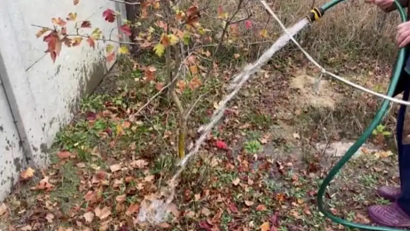 Siirt Belediyesi'nden Su Kullanımı Uyarısı: Şebeke Suyu Tarımsal Amaçla Kullanılamaz!