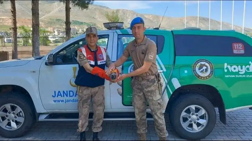 Siirt Jandarmasından Yaralı Kuşlara Şefkat Eli!
