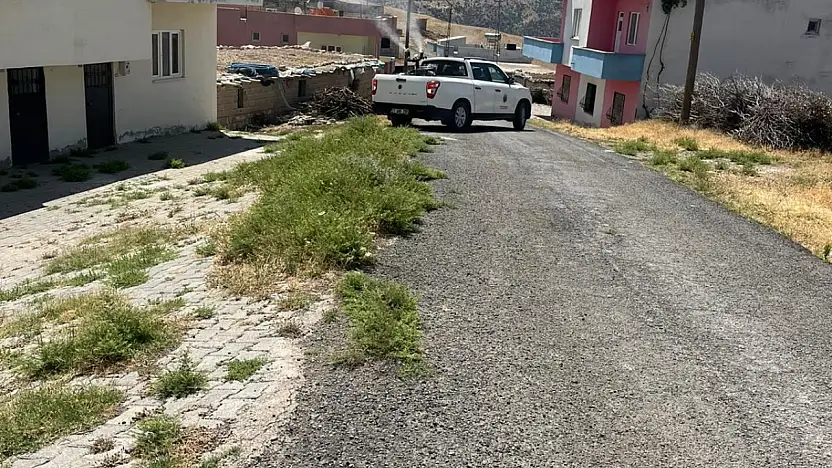 Siirt Merkez Köylerinde Haşerelere Karşı Yoğun Mücadele