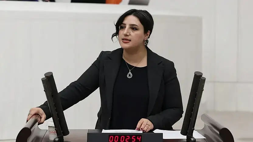 Siirt'te Beklenen Sanayi Hamlesi Başlamadı: DEM Parti Milletvekili Sarıtaş, Meclis'e Taşıdı